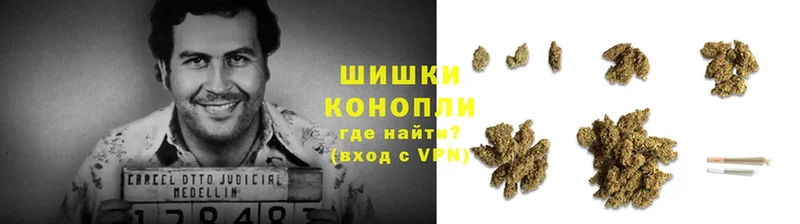 Бошки марихуана THC 21%  купить наркоту  Владикавказ 